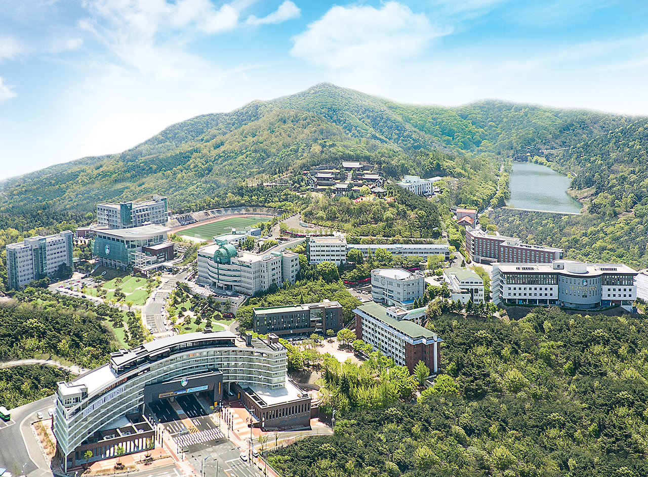 경상북도 지역혁신중심 대학지원체계(RISE)